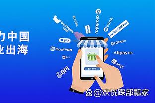开云app官方入口手机版